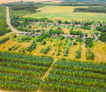 <p>Search Online Records</p>