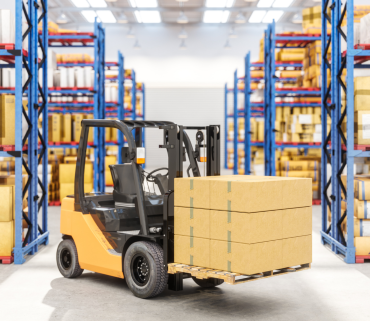 <p>Tangible Personal Property</p>