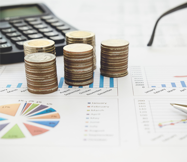 <p>View Budget & Other Information</p>